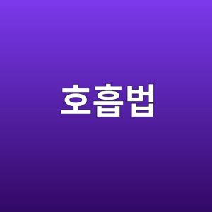 15. 일상 속 내면소통 실천을 위한 호흡법의 신경계 안정화 효과 6 ed98b8ed9da1ebb295 1791294840